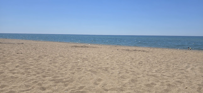 Manavgat Belediyesi Kamp Alanı Yerel İşletme fotoğrafı 3
